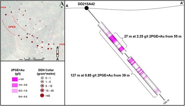 Figure 2: Cross Section of Drill Hole DD21SA42