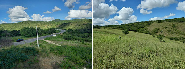 Figure 2: Photographs of the Galante East area, showing paved Highway 226 and existing electrical powerlines, which both crosscut the target.